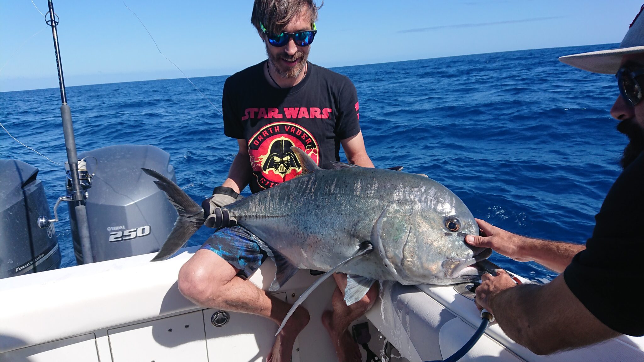 carangue-kal-d-o-fish