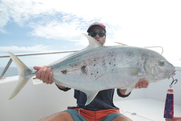 carangue-kal-d-o-fish